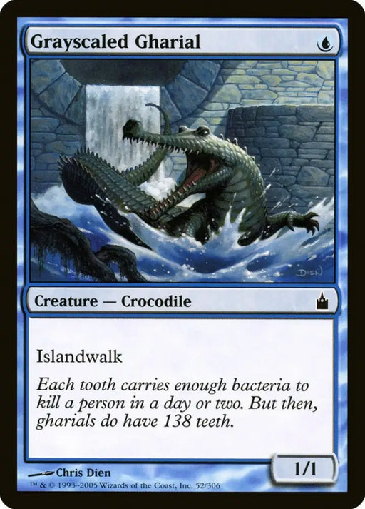 Grayscaled Gharial [Ravnica: City of Guilds] - MTG Single