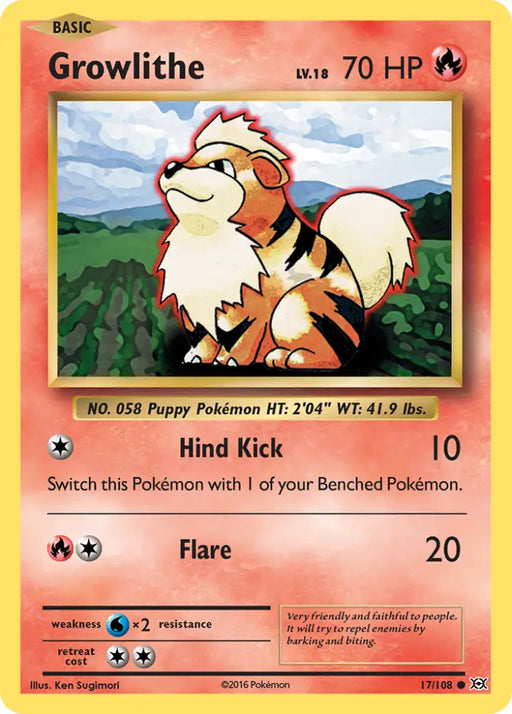 Growlithe (17/108) [XY: Evolutions] - Pokemon Single