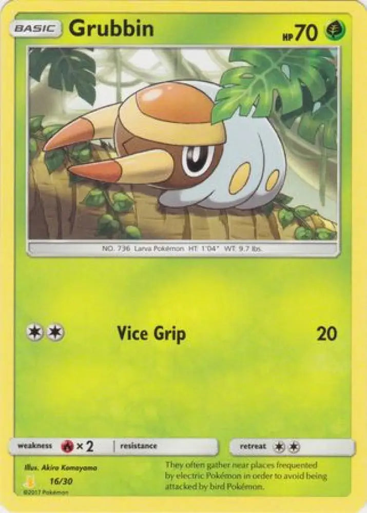 Grubbin (16/30) [Sun & Moon: Trainer Kit - Alolan Raichu] - Pokemon Single