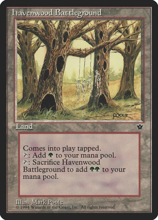 Havenwood Battleground [Fallen Empires] - MTG Single