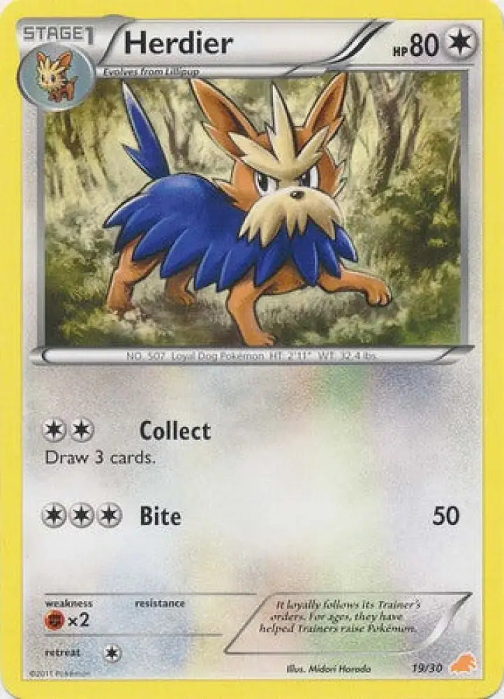 Herdier (19/30) [Black & White: Trainer Kit - Excadrill] - Pokemon Single