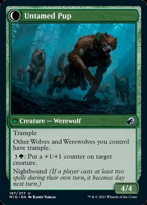 Hound Tamer // Untamed Pup [Innistrad: Midnight Hunt] - MTG Single