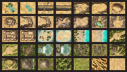 Into the Wilds Battlemap Books: Deserts and Jungles - Role Playing Game