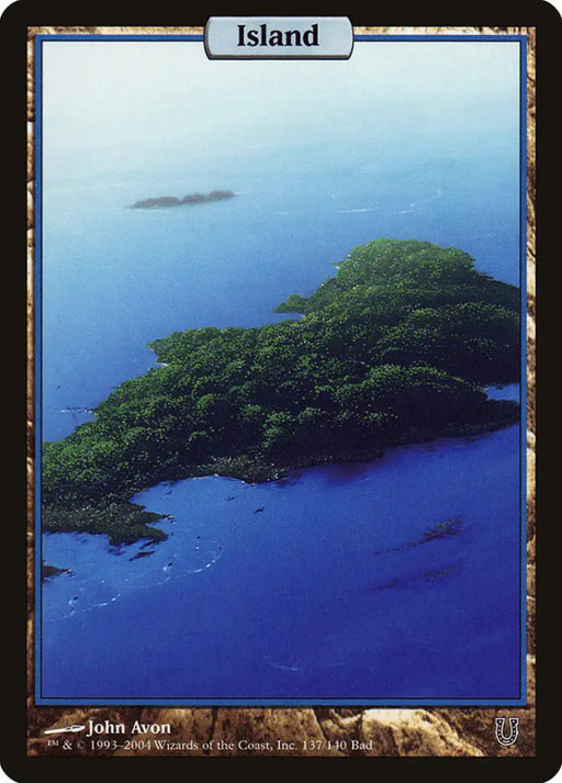 Island (137) [Unhinged] - MTG Single