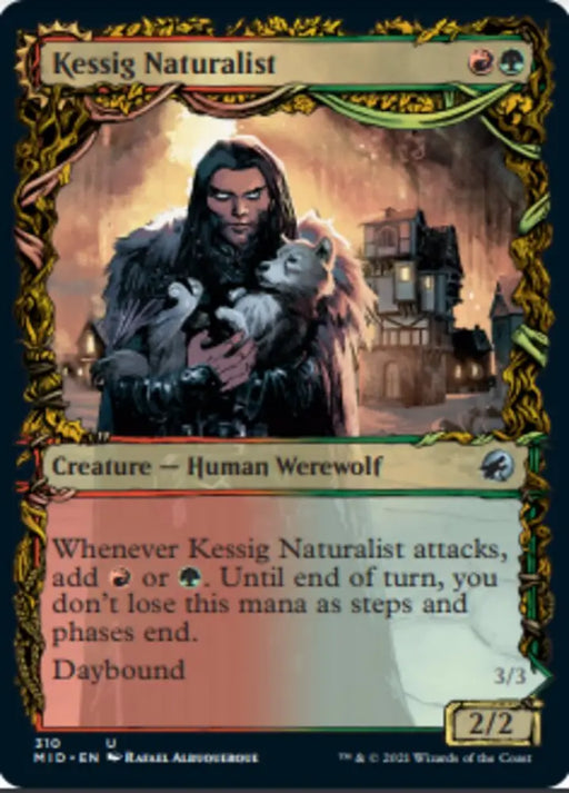 Kessig Naturalist // Lord of the Ulvenwald (Showcase Equinox) [Innistrad: Midnight Hunt] - MTG Single