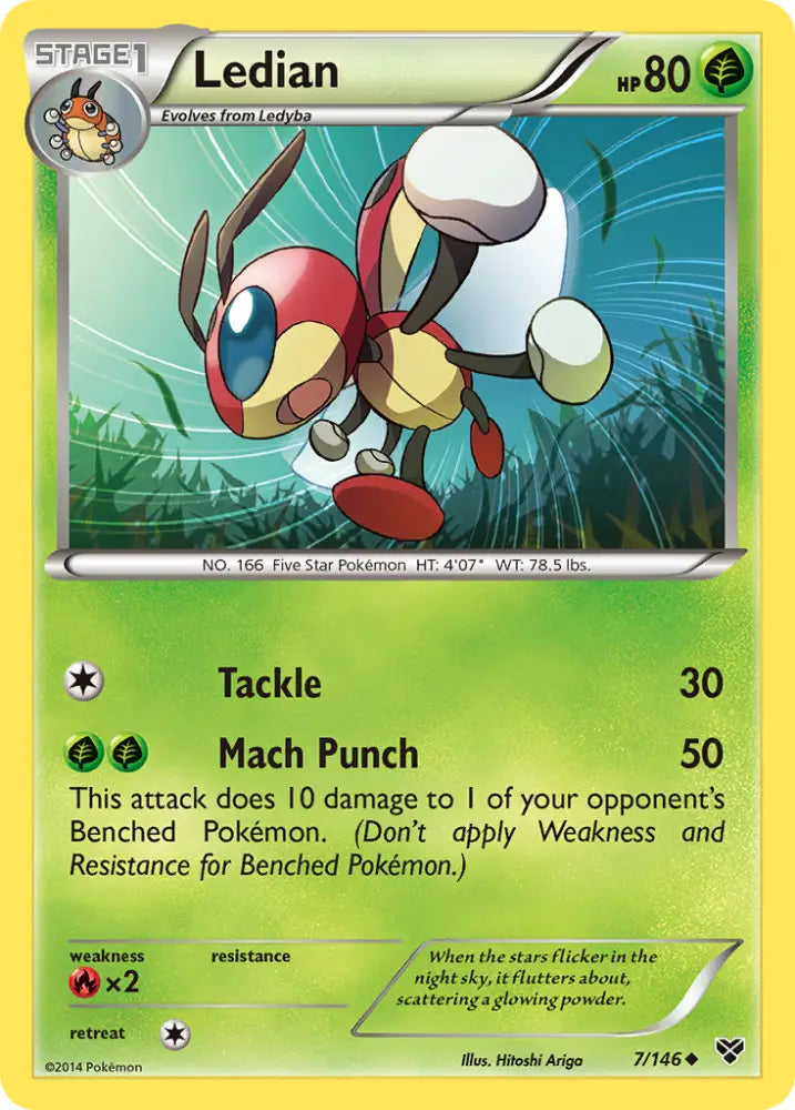 Ledian (7/146) [XY: Base Set] - Pokemon Single
