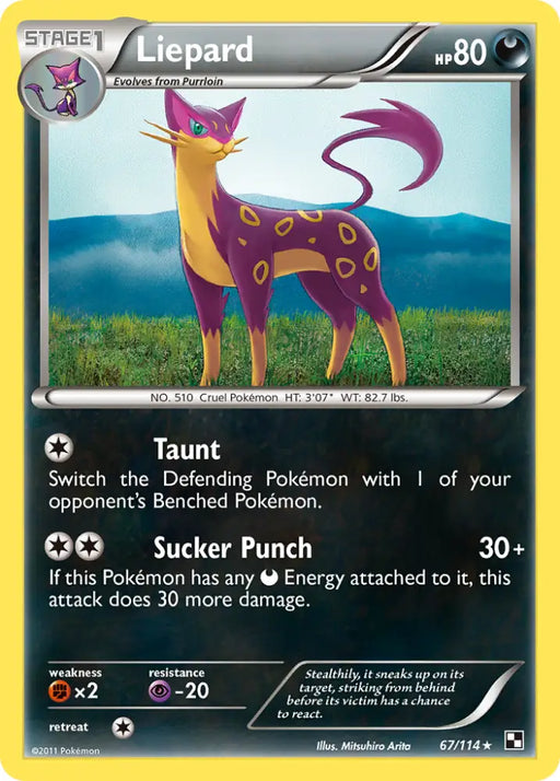 Liepard (67/114) [Black & White: Base Set] - Pokemon Single