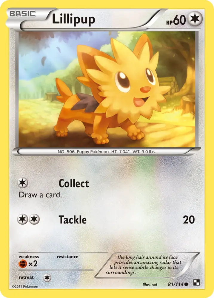 Lillipup (81/114) [Black & White: Base Set] - Pokemon Single