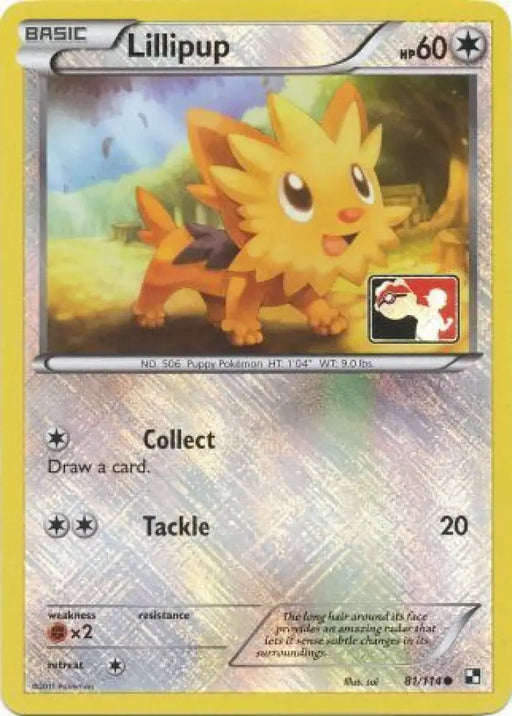 Lillipup (81/114) (League Promo) [Black & White: Base Set] - Pokemon Single