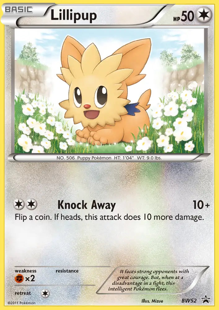 Lillipup (BW52) [Black & White: Black Star Promos] - Pokemon Single