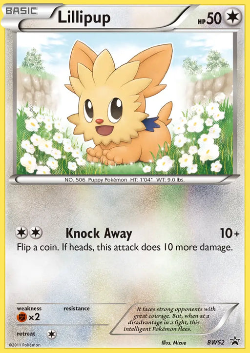 Lillipup (BW52) [Black & White: Black Star Promos] - Pokemon Single