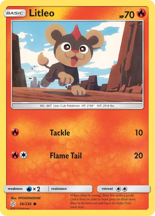 Litleo (36/236) [Sun & Moon: Cosmic Eclipse] - Pokemon Single