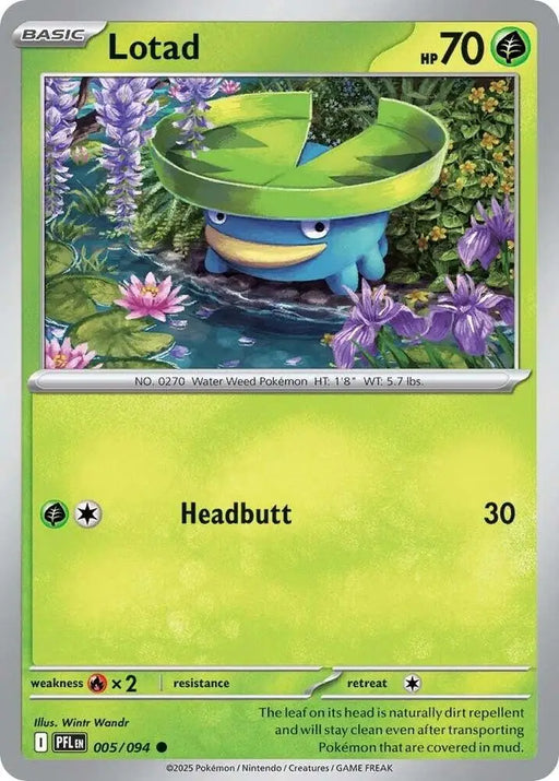 Lotad (005/094) [ME02: Phantasmal Flames]