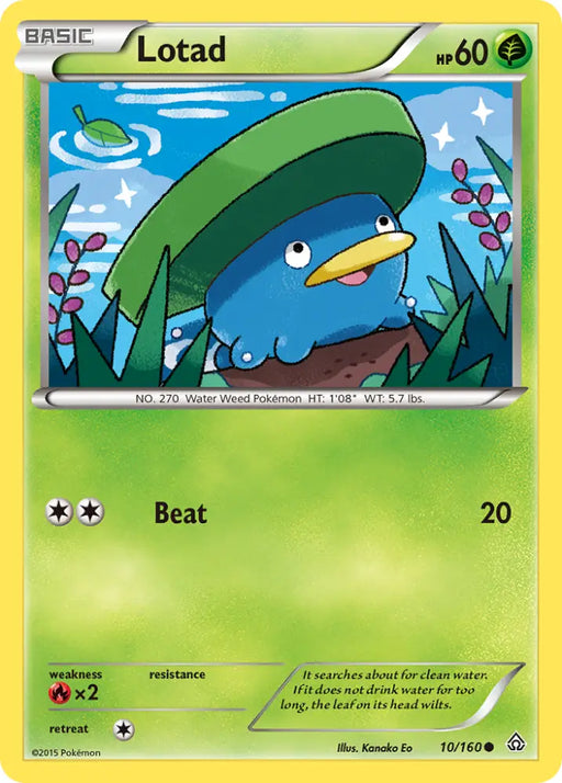 Lotad (10/160) [XY: Primal Clash] - Pokemon Single