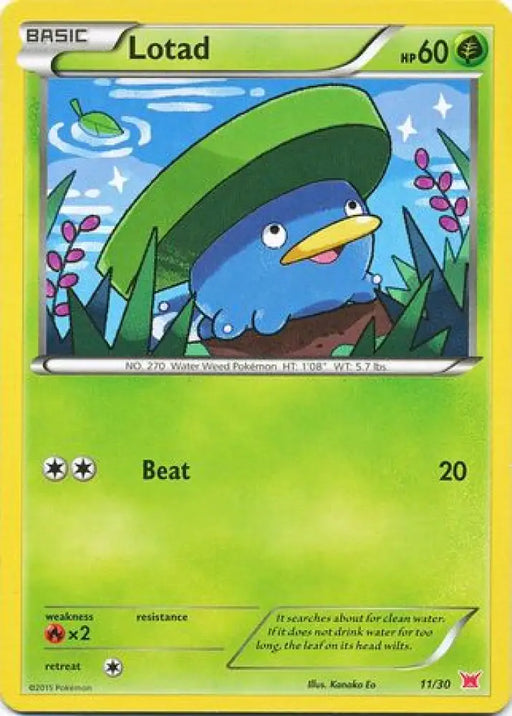 Lotad (11/30) [XY: Trainer Kit 2 - Latias] - Pokemon Single