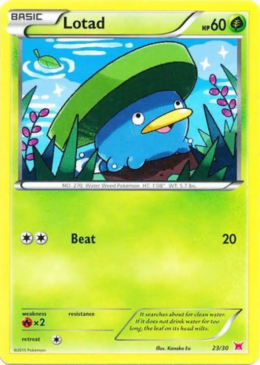 Lotad (23/30) [XY: Trainer Kit 2 - Latias] - Pokemon Single