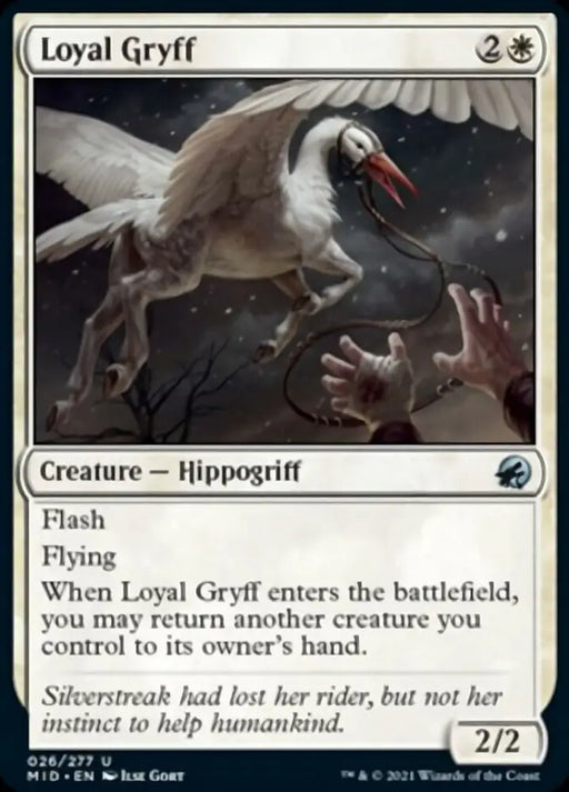 Loyal Gryff [Innistrad: Midnight Hunt] - MTG Single