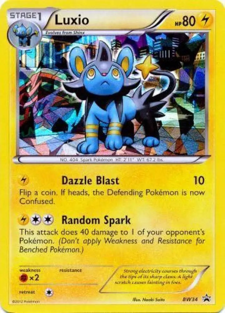 Luxio (BW34) (Cracked Ice Holo) [Black & White: Black Star Promos] - Pokemon Single