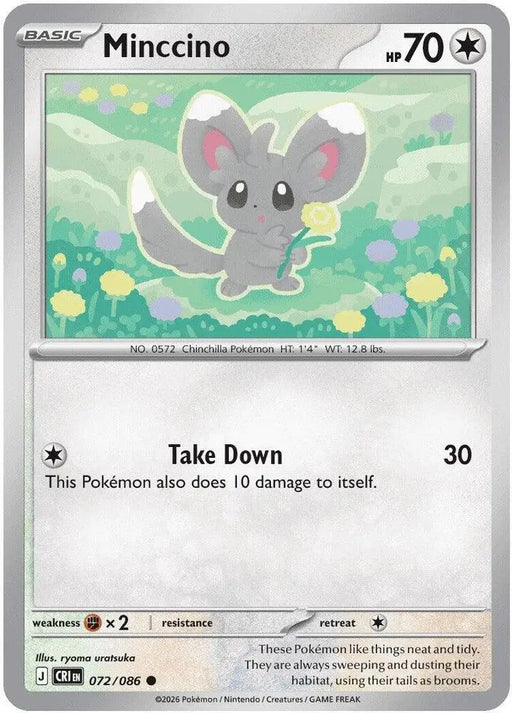 Minccino (072/086) [ME04: Chaos Rising]