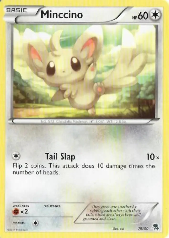 Minccino (19/30) [Black & White: Trainer Kit - Zoroark] - Pokemon Single