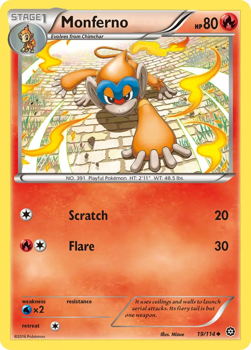 Monferno (19/114) [XY: Steam Siege] - Pokemon Single
