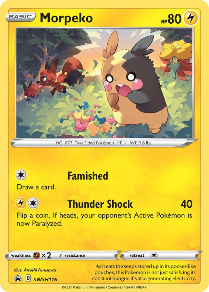 Morpeko (SWSH116) [Sword & Shield: Black Star Promos] - Pokemon Single