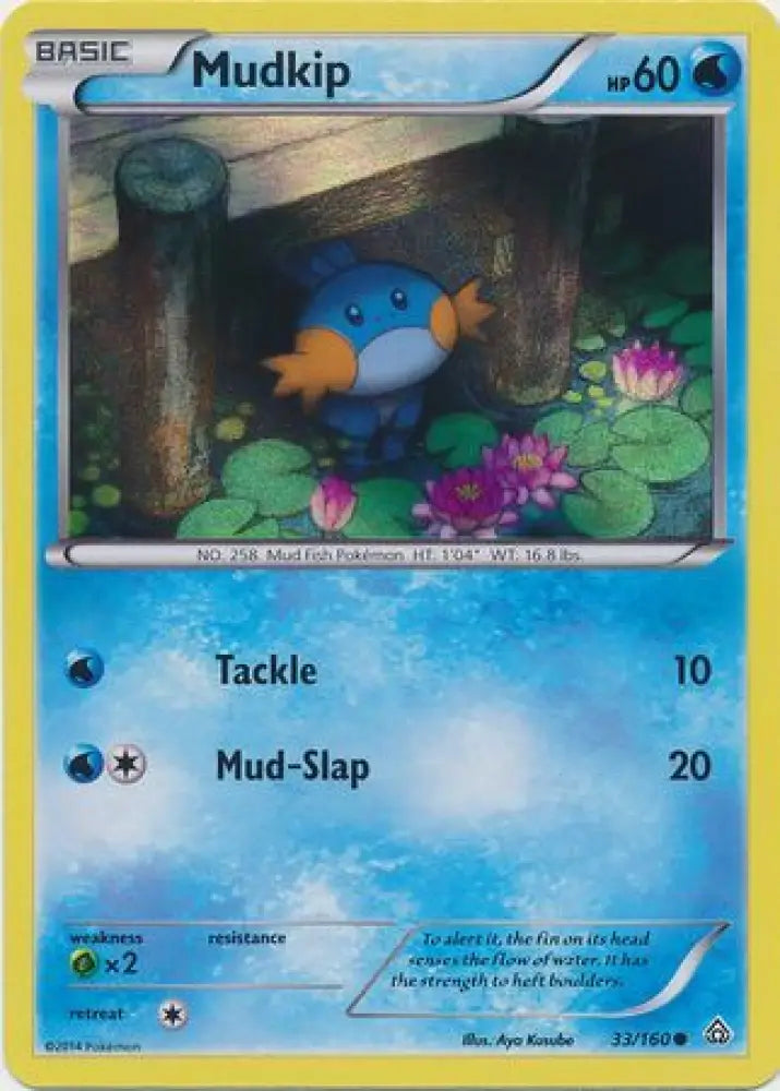 Mudkip (33/160) (Sheen Holo) [XY: Primal Clash] - Pokemon Single