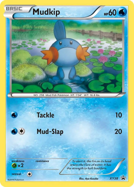 Mudkip (XY38) [XY: Black Star Promos] - Pokemon Single