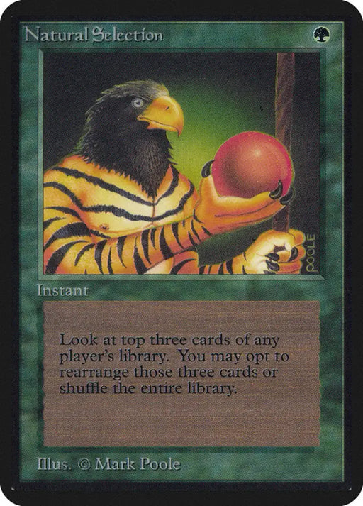 Natural Selection [Alpha Edition] - MTG Single