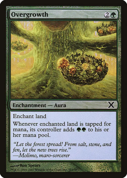Overgrowth (Premium Foil) [Tenth Edition] - MTG Single
