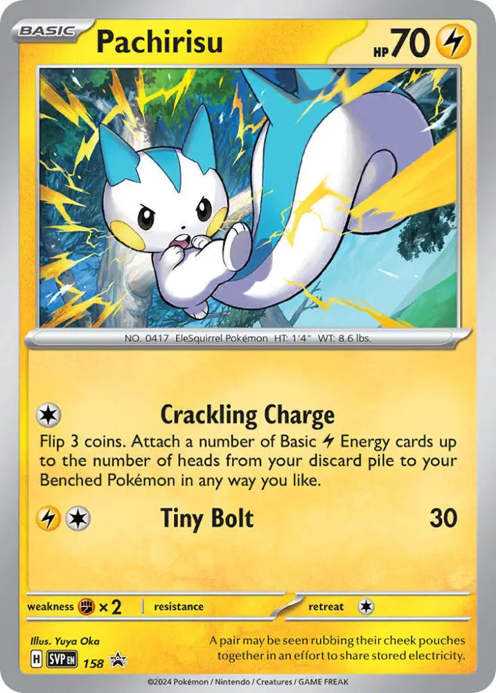 Pachirisu (158) [Scarlet & Violet: Black Star Promos] - Pokemon Single