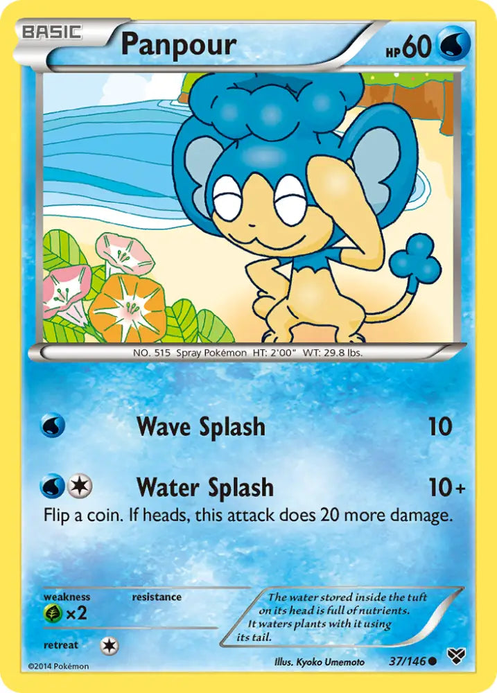 Panpour (37/146) [XY: Base Set] - Pokemon Single