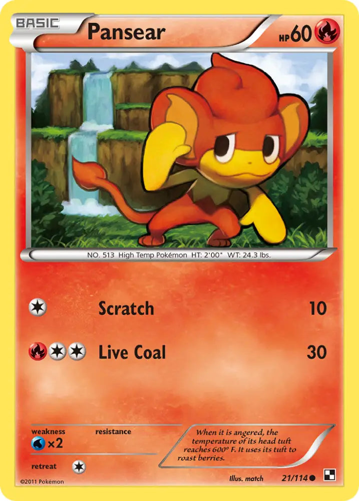Pansear (21/114) [Black & White: Base Set] - Pokemon Single