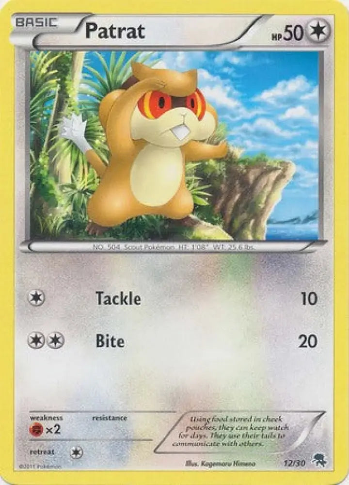 Patrat (12/30) [Black & White: Trainer Kit - Zoroark] - Pokemon Single