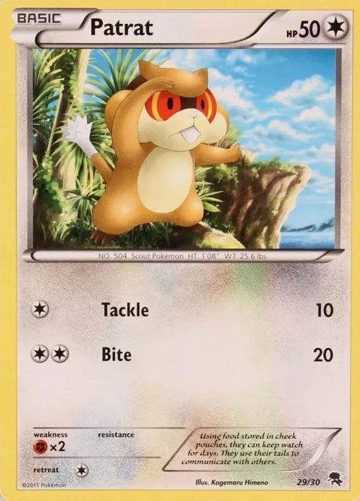 Patrat (29/30) [Black & White: Trainer Kit - Zoroark] - Pokemon Single