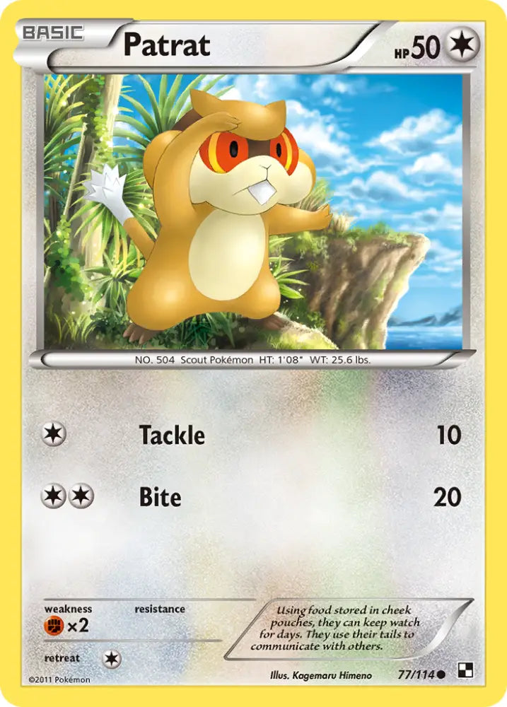 Patrat (77/114) [Black & White: Base Set] - Pokemon Single