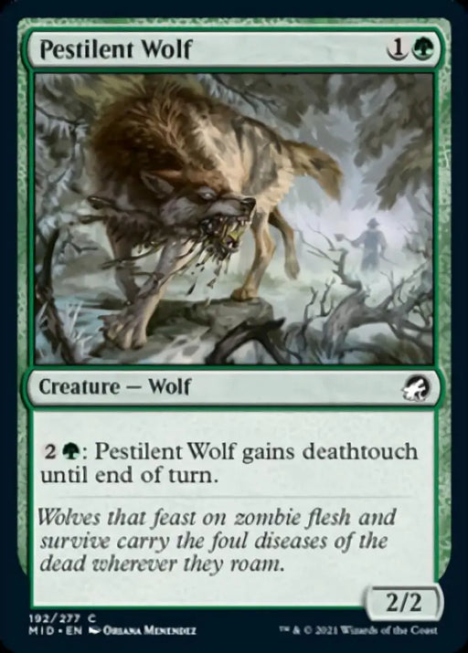 Pestilent Wolf [Innistrad: Midnight Hunt] - MTG Single