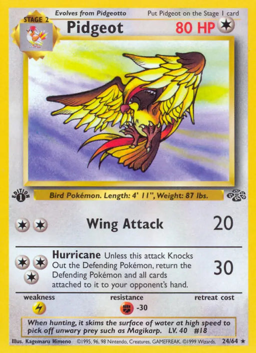 Pidgeot (24/64) [Jungle 1st Edition] - Pokemon Single