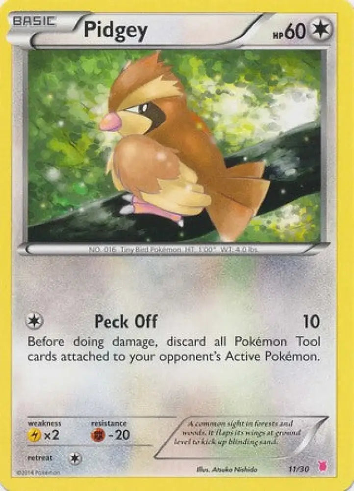 Pidgey (11/30) [XY: Trainer Kit 1 - Wigglytuff] - Pokemon Single