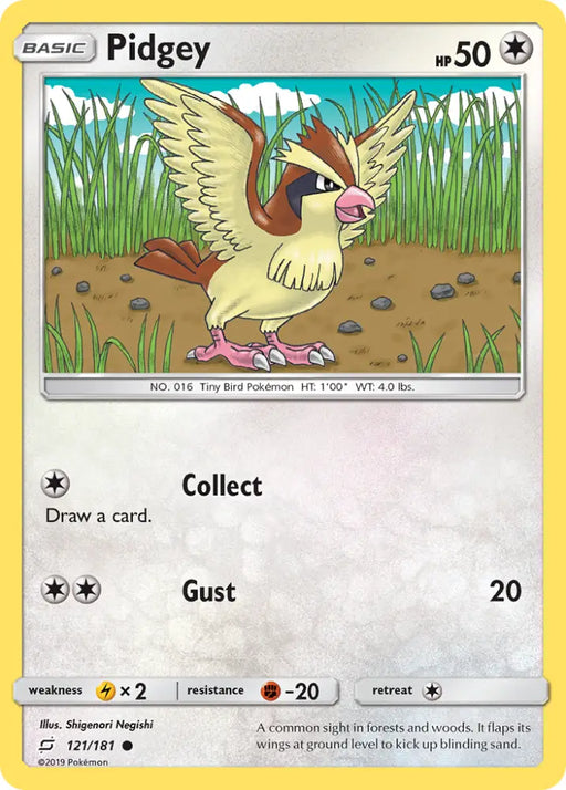 Pidgey (121/181) [Sun & Moon: Team Up] - Pokemon Single