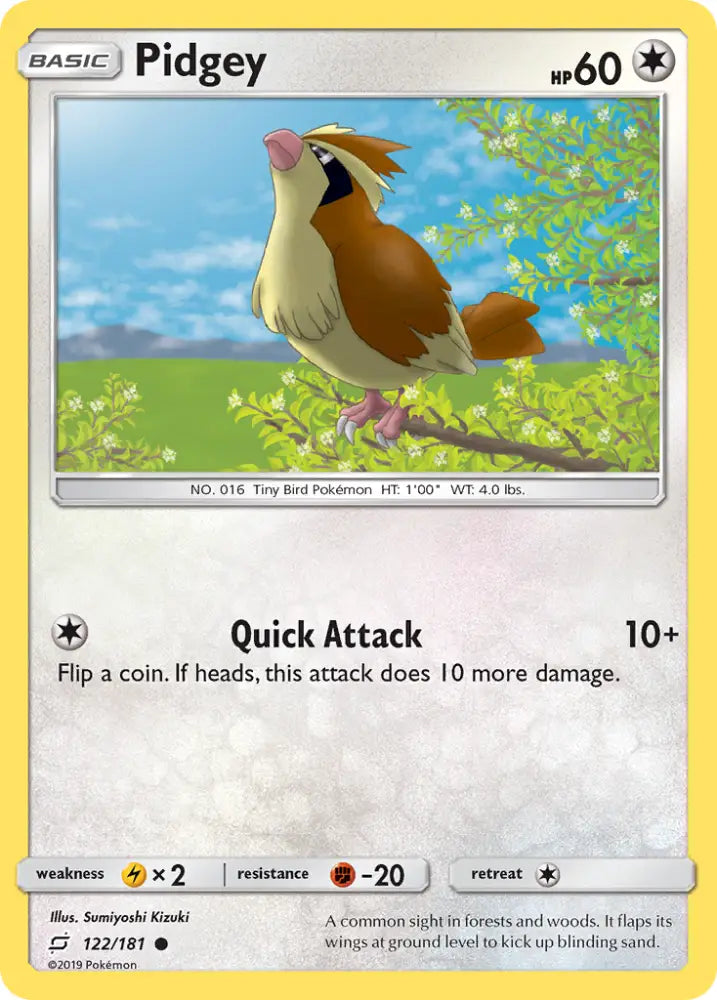 Pidgey (122/181) [Sun & Moon: Team Up] - Pokemon Single