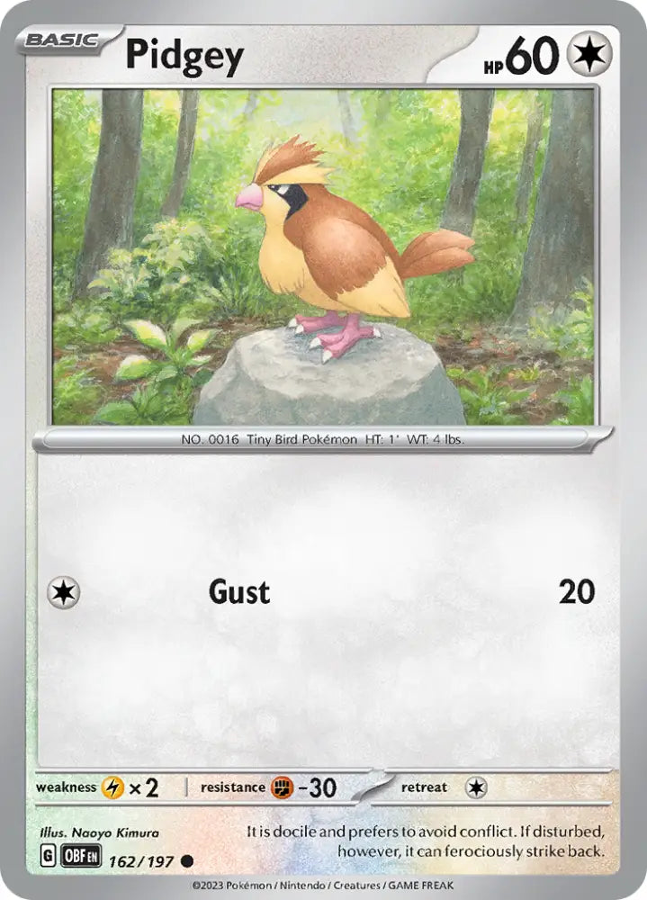 Pidgey (162/197) [Scarlet & Violet: Obsidian Flames] - Pokemon Single