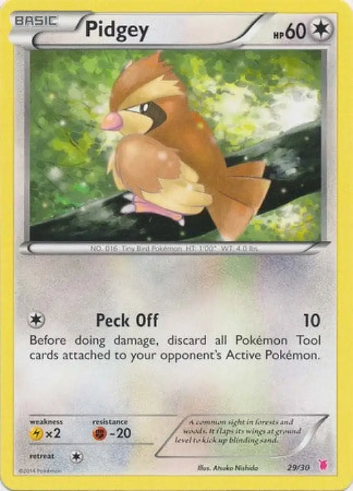 Pidgey (29/30) [XY: Trainer Kit 1 - Wigglytuff] - Pokemon Single