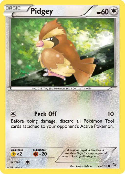 Pidgey (75/106) [XY: Flashfire] - Pokemon Single