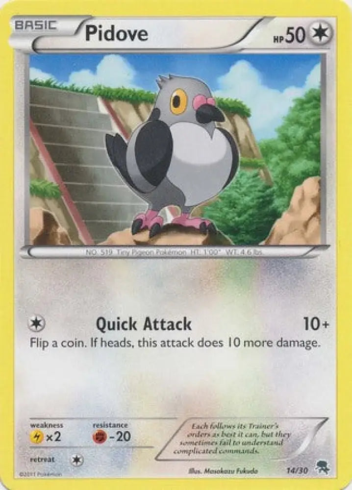 Pidove (14/30) [Black & White: Trainer Kit - Zoroark] - Pokemon Single