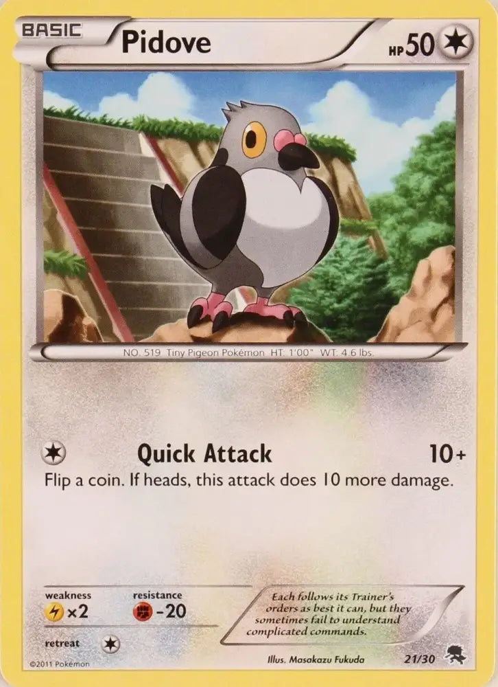 Pidove (21/30) [Black & White: Trainer Kit - Zoroark] - Pokemon Single