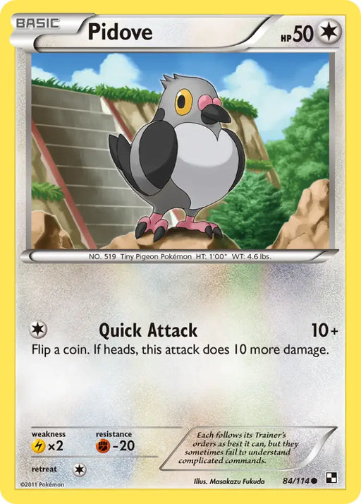 Pidove (84/114) [Black & White: Base Set] - Pokemon Single