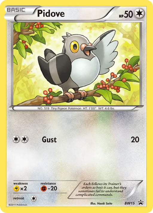 Pidove (BW15) [Black & White: Black Star Promos] - Pokemon Single
