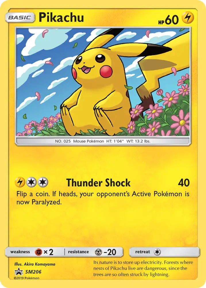 Pikachu (SM206) [Sun & Moon: Black Star Promos] - Pokemon Single