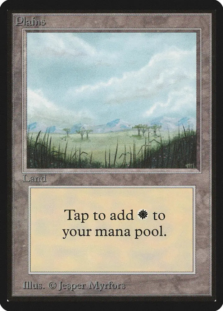 Plains (289) [Beta Edition] - MTG Single